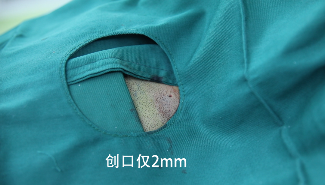 微信圖片_20220330113816.png 微信圖片_20220330113816.png