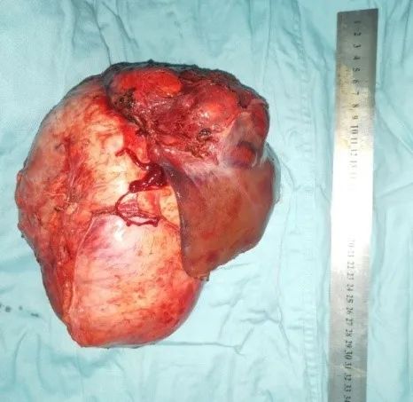 微信圖片_20220316110935.jpg 微信圖片_20220316110935.jpg