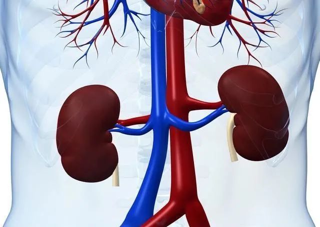 微信圖片_20220316110927.jpg 微信圖片_20220316110927.jpg