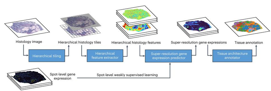 公募大咖展望明年行情 最可能賺盈利穩(wěn)定的錢