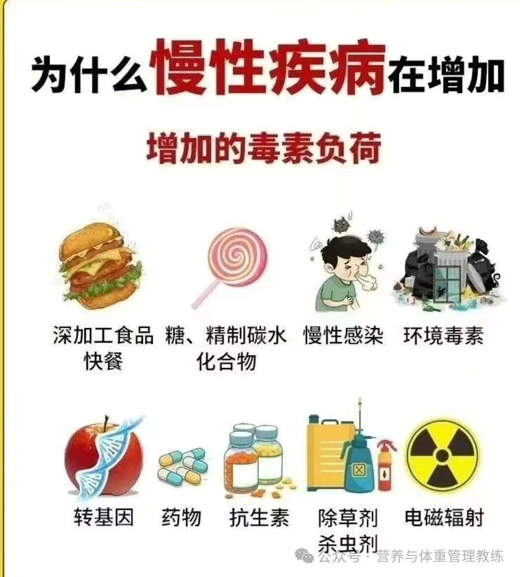 微信圖片_2026-02-13_221615_218.jpg 微信圖片_2026-02-13_221615_218.jpg